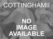 COTTINGHAMII
