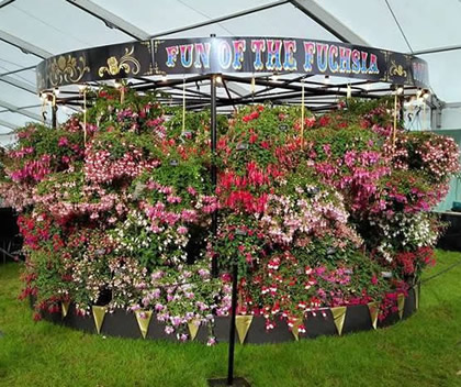fuchsia carousel at Chatsworth Flower Show