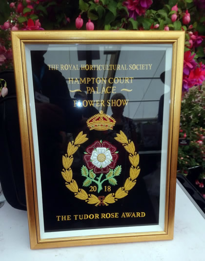 Best in show at Hampton Court Flower Show 2018